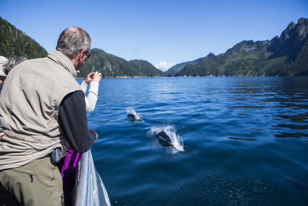 Kenai Fjords Glacier Lodge Whale Watching